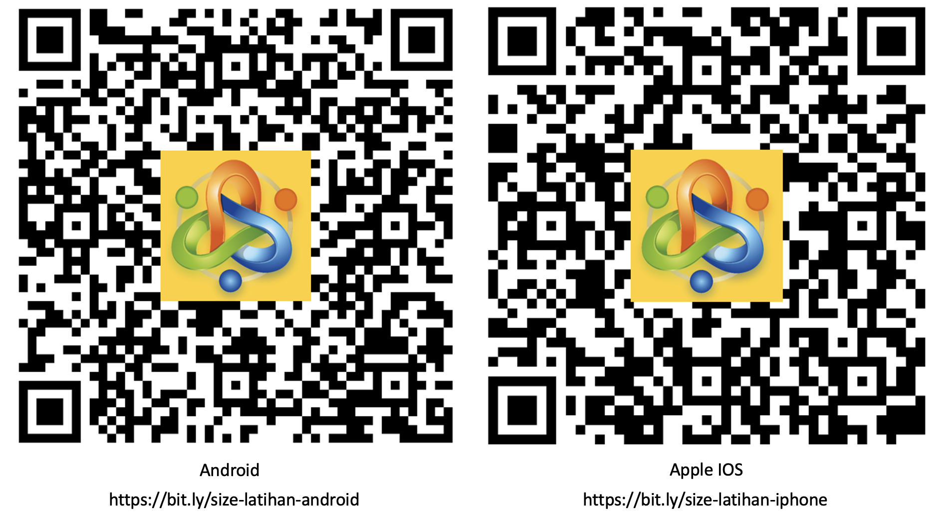 image-20240227134346193