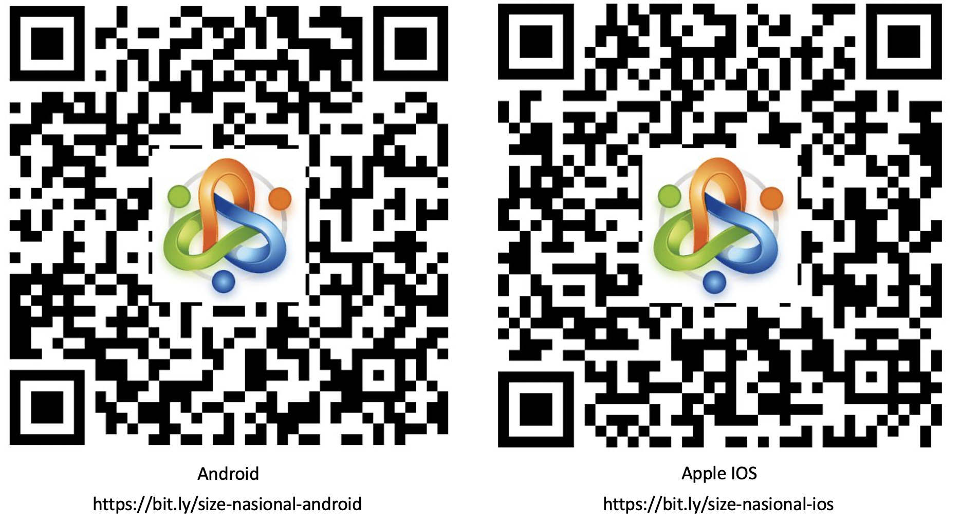 image-20240227134416756